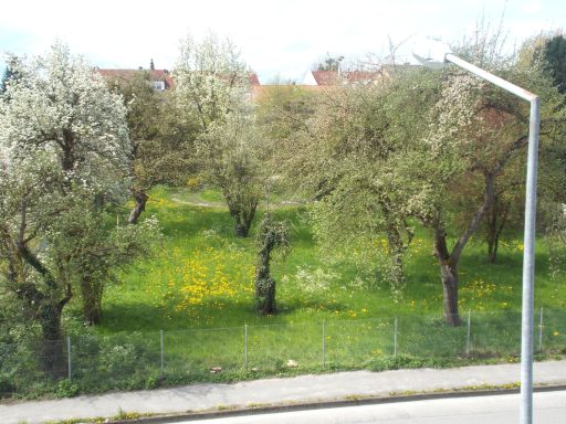 Balkon FO 6, Blick vom Balkon im Frühling